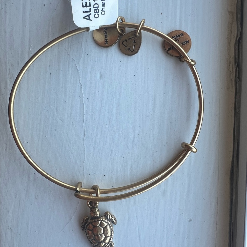 Alex and Ani Gold Turtle Charm Bracelet